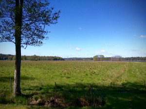 Kriminalisera landsbygden.